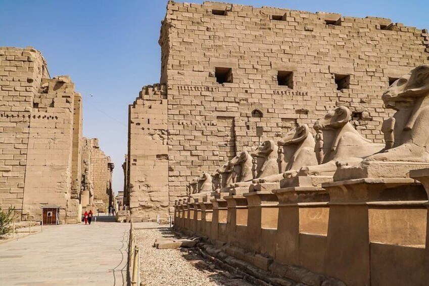 Private Luxor Day Tour from Sharm Air Travel Adventure 