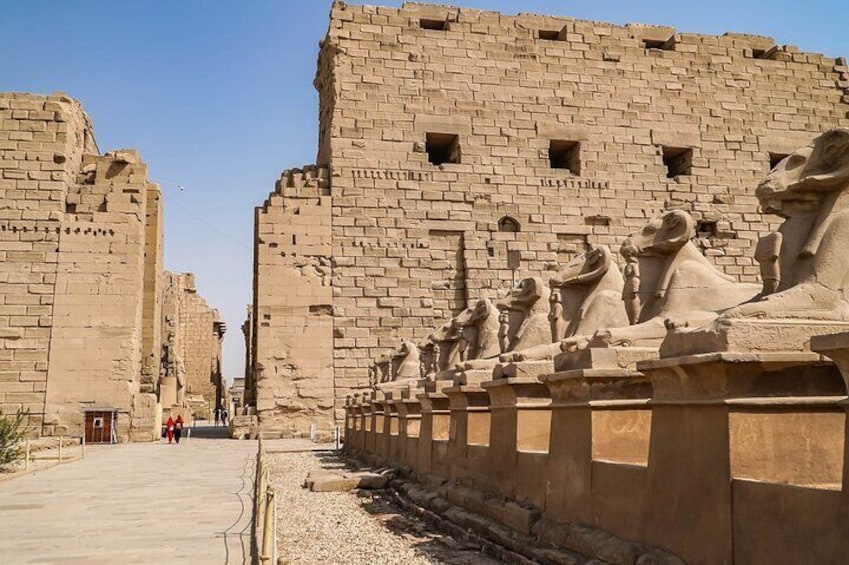 Private Luxor Day Tour from Sharm Air Travel Adventure 