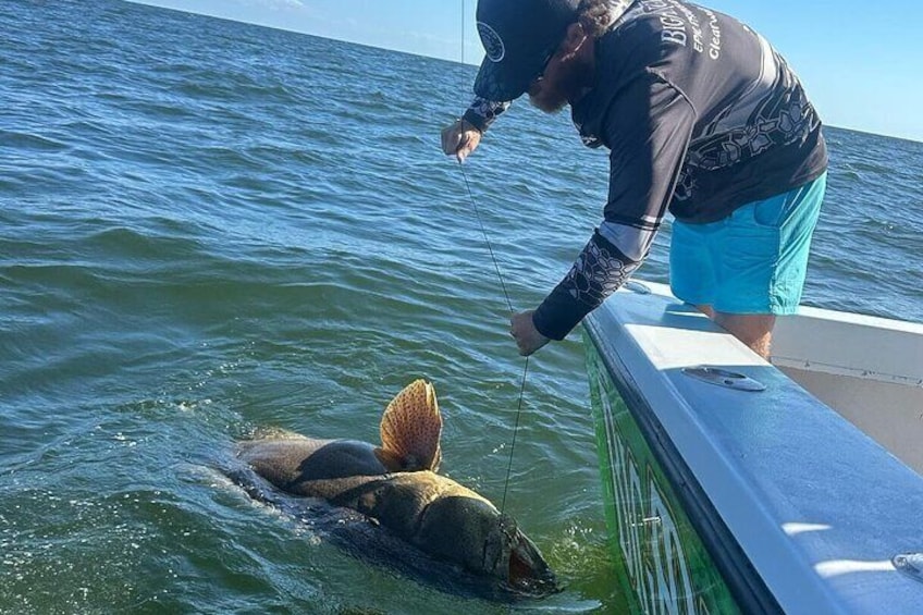 Private Fishing Charter in Florida at Clearwater Beach