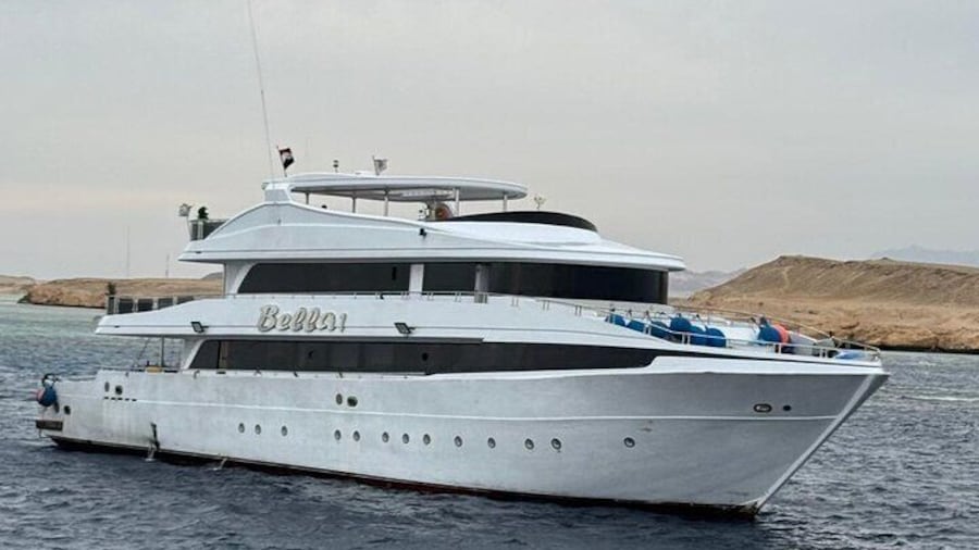 Marsa Alam: Snorkel with Sea Cows and Turtles at Marsa Mubarak