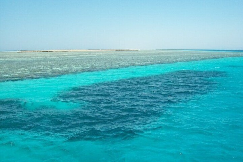 Marsa Alam: Snorkel with Sea Cows and Turtles at Marsa Mubarak