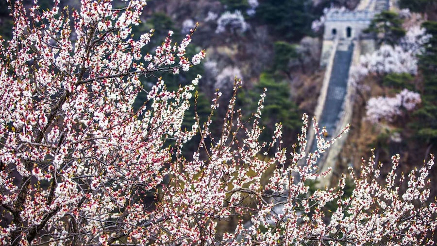 Beijing: Private Roundtrip Transfer to Great Wall of China