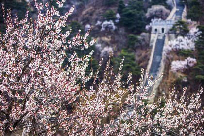 Peking: Kiinan muurille.