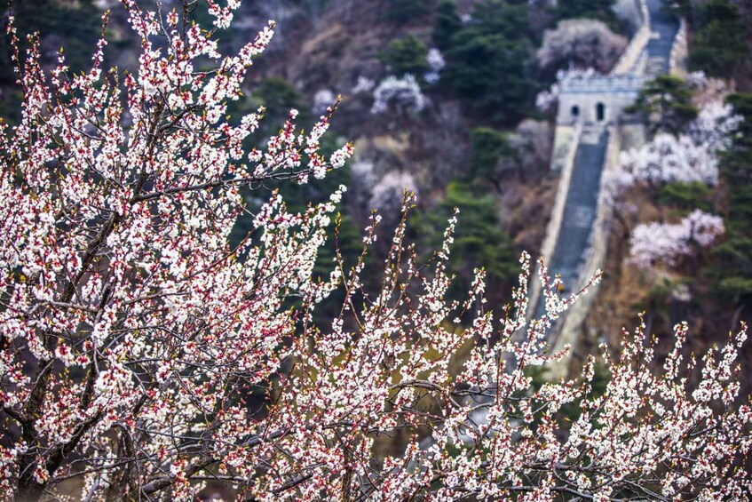 Beijing: Private Roundtrip Transfer to Great Wall of China