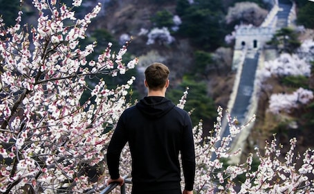 Beijing: traslado privado de ida y vuelta a la Gran Muralla China