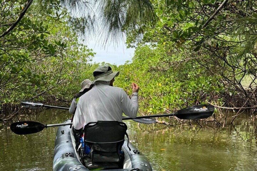 Tranquil river passage