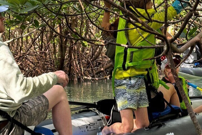 8-Hour Jungle Tour and Lagoon Passage to the Ocean in Fort Pierce