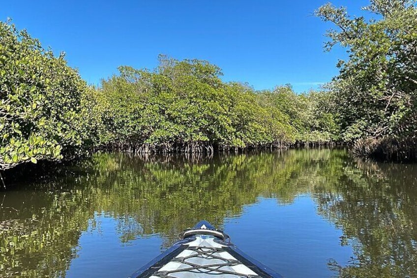 8 Hour Ocean Paddle and Motor Return in Port Saint Lucie