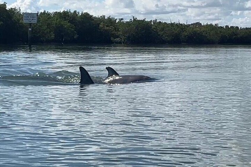 8 Hour Ocean Paddle and Motor Return in Port Saint Lucie