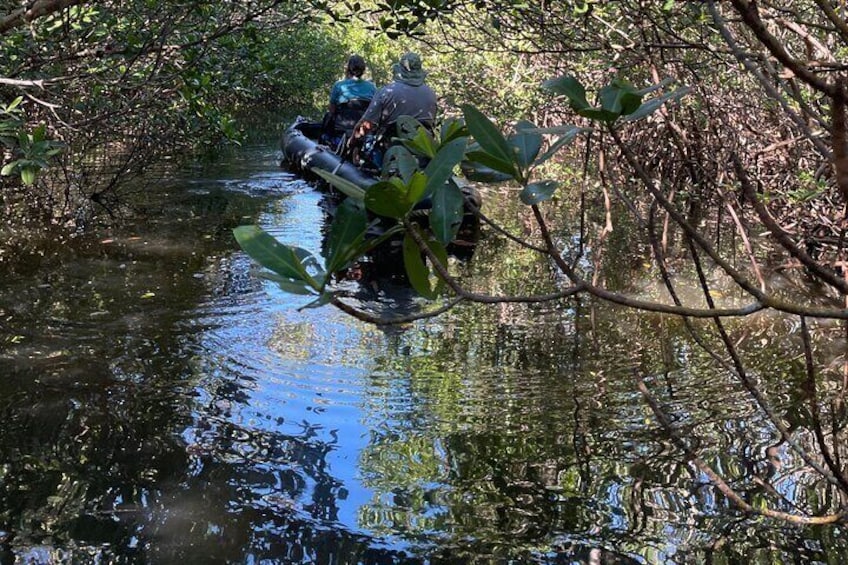 8-Hour Jungle Tour and Lagoon Passage to the Ocean in Fort Pierce