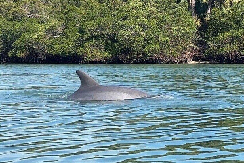 8 Hour Ocean Paddle and Motor Return in Port Saint Lucie