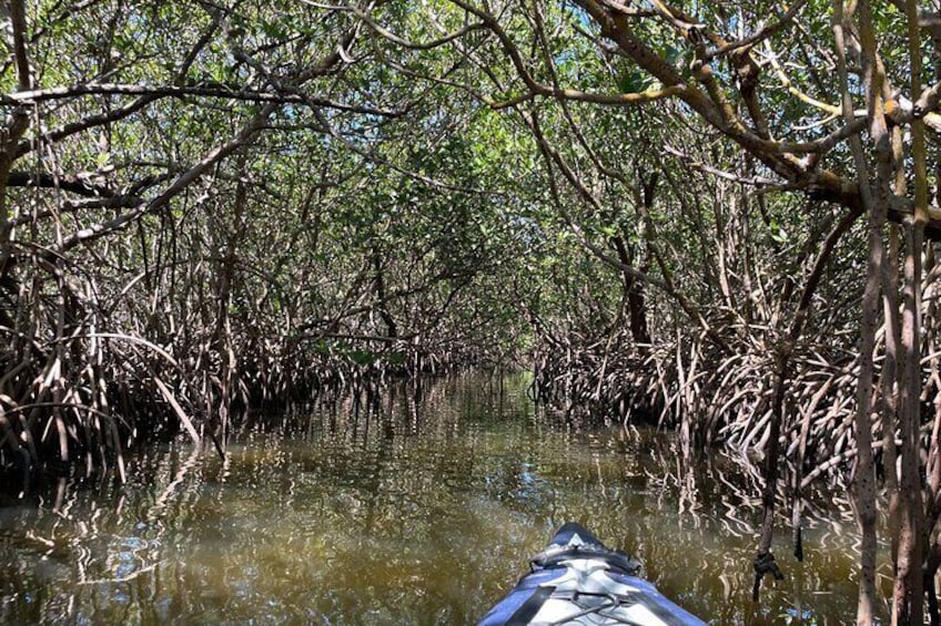 8 Hour Ocean Paddle and Motor Return in Port Saint Lucie