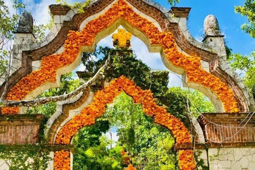 Xcaret Natural and Ecological Park with Buffet and Night Show