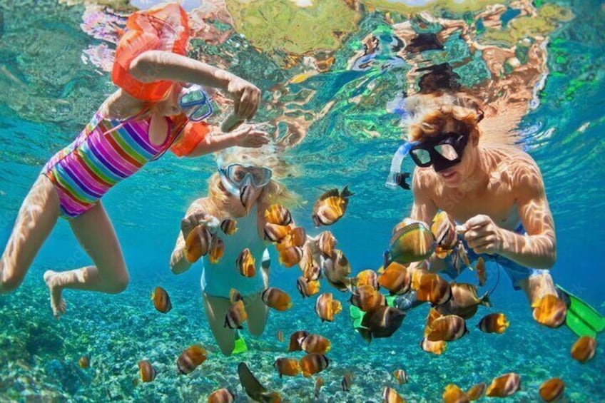 Swimming in Roatán's clear water is like being in a rainbow sea with pretty coral and lots of colorful fish.