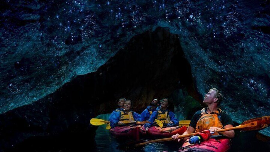 Starlight Gourmet Kayak Experience - Rotorua