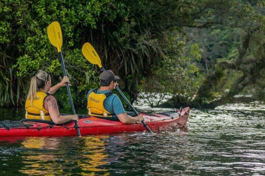 Starlight Gourmet Kayak Experience - Rotorua