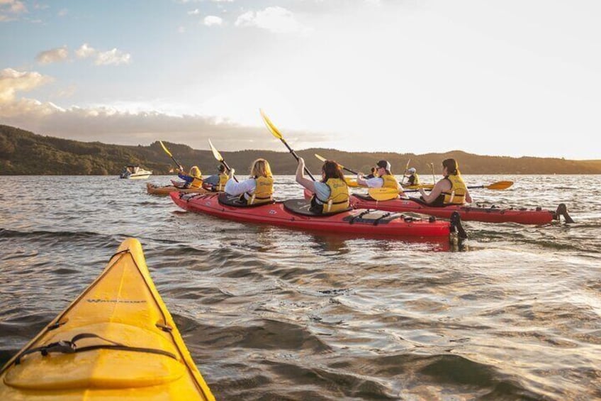 Starlight Gourmet Kayak Experience - Rotorua