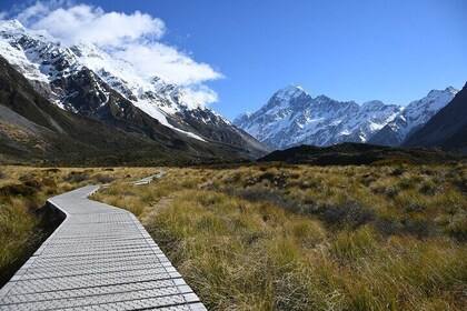 Mt Cook Day Tour From Tekapo (Small Group, Carbon Neutral)