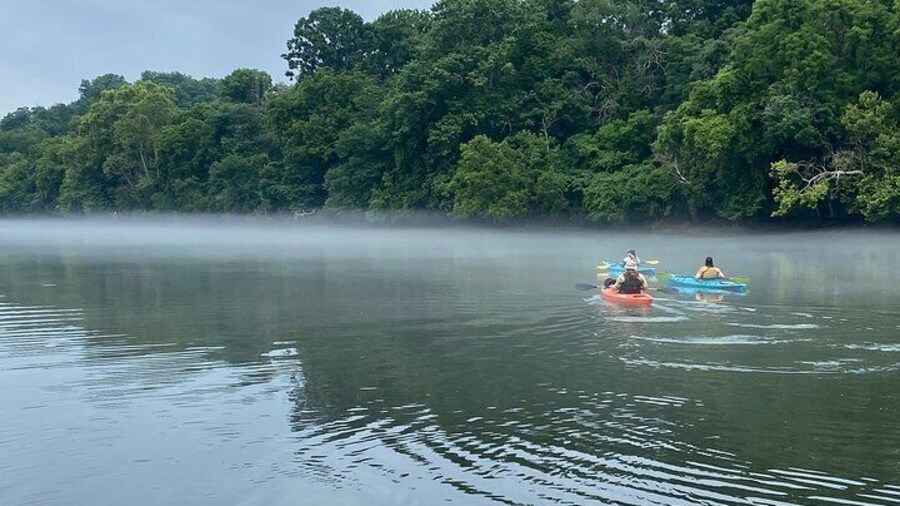 Half-Day Guided Kayaking in the Smoky Mountains of Tallassee