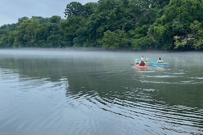 Half-Day Guided Kayaking in the Smoky Mountains of Tallassee
