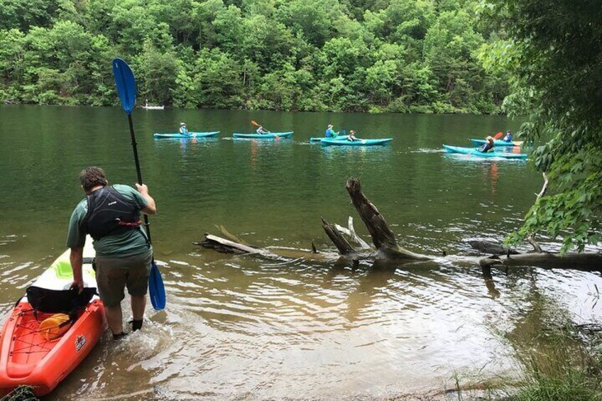 Half-Day Guided Kayaking in the Smoky Mountains of Tallassee