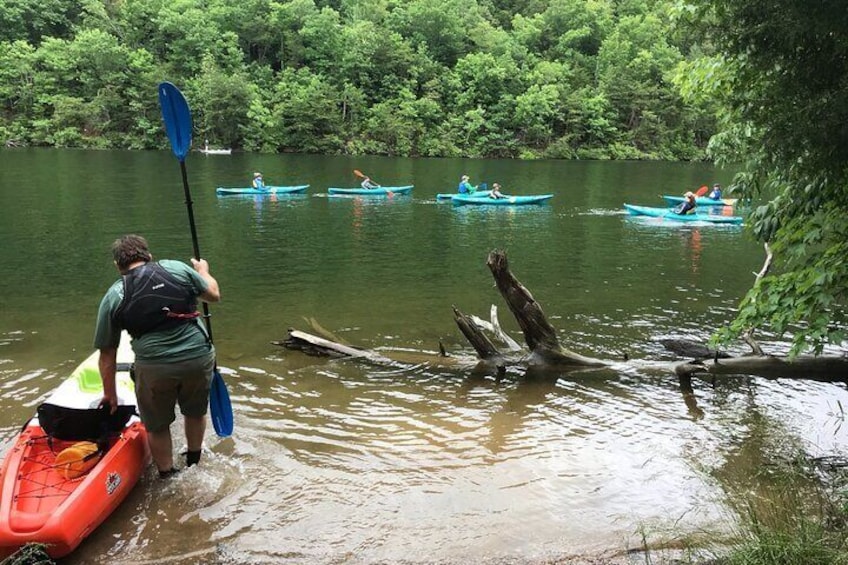 Half-Day Guided Kayaking in the Smoky Mountains of Tallassee