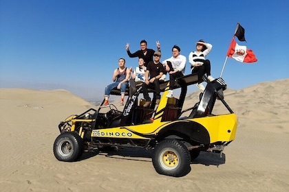 From Lima, Paracas with cooking class Ceviche, Huacachina and buggy