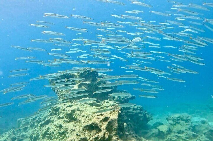 2-Hour Private Scuba Diving Experience in Green Bay 