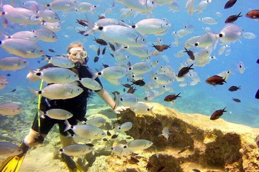 2-Hour Private Scuba Diving Experience in Green Bay 