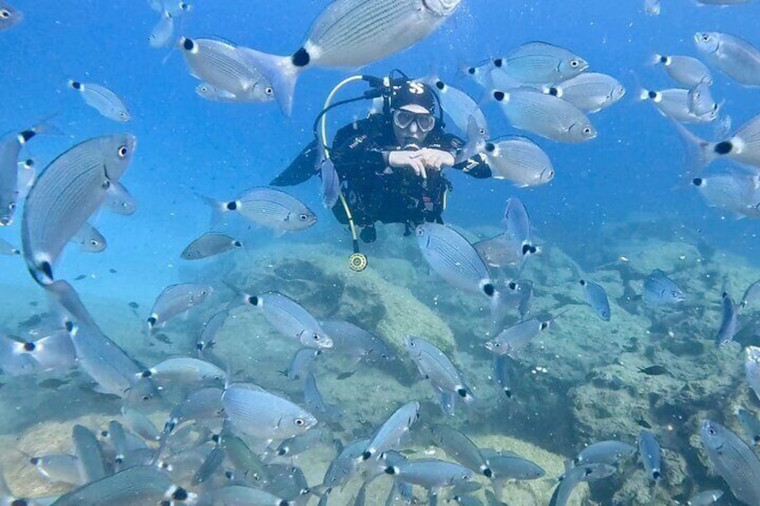 2-Hour Private Scuba Diving Experience in Green Bay 