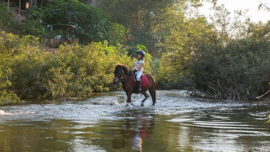 Pony Riding in Luang Prabang