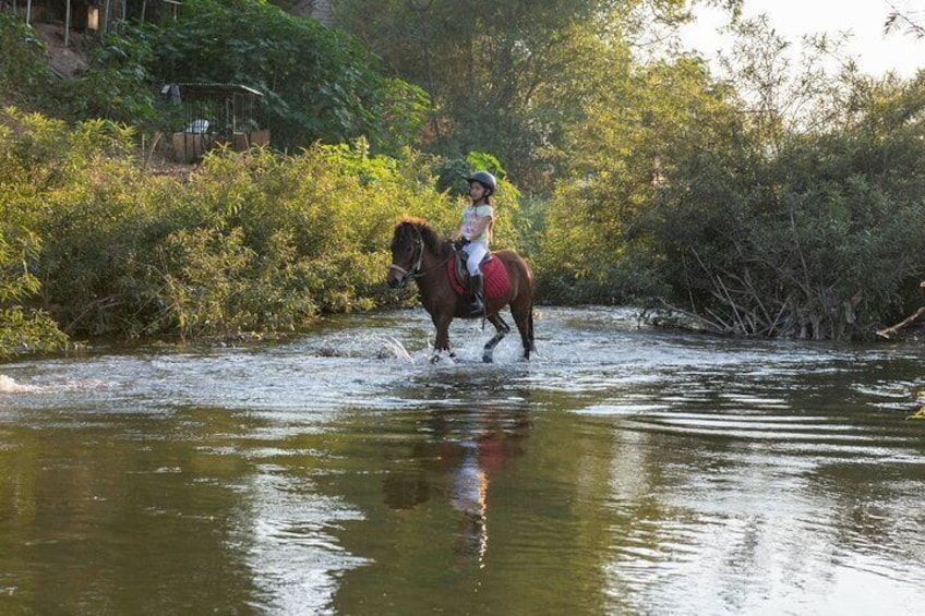 Pony Riding in Luang Prabang