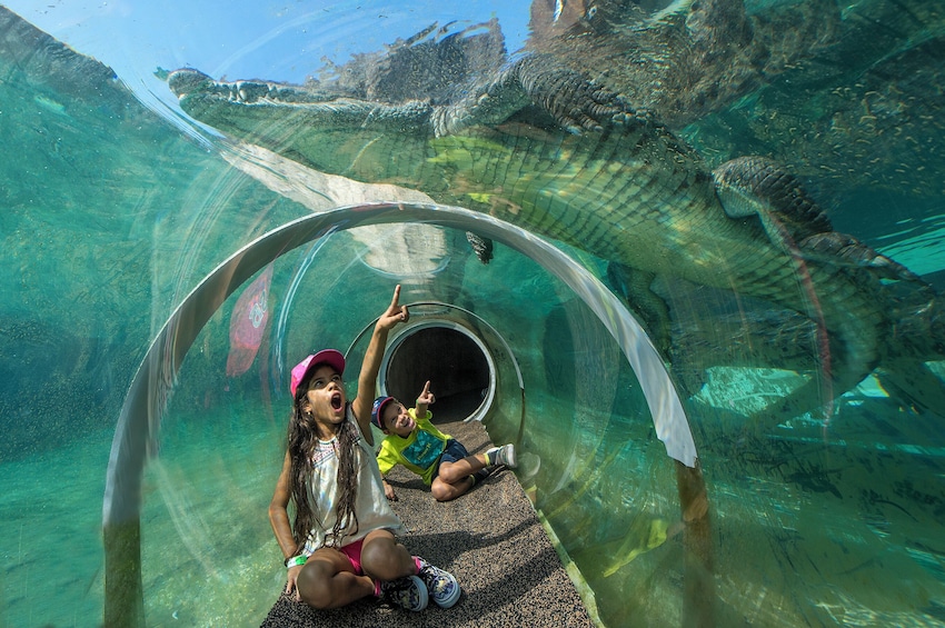 Miami Zoo with Transportation