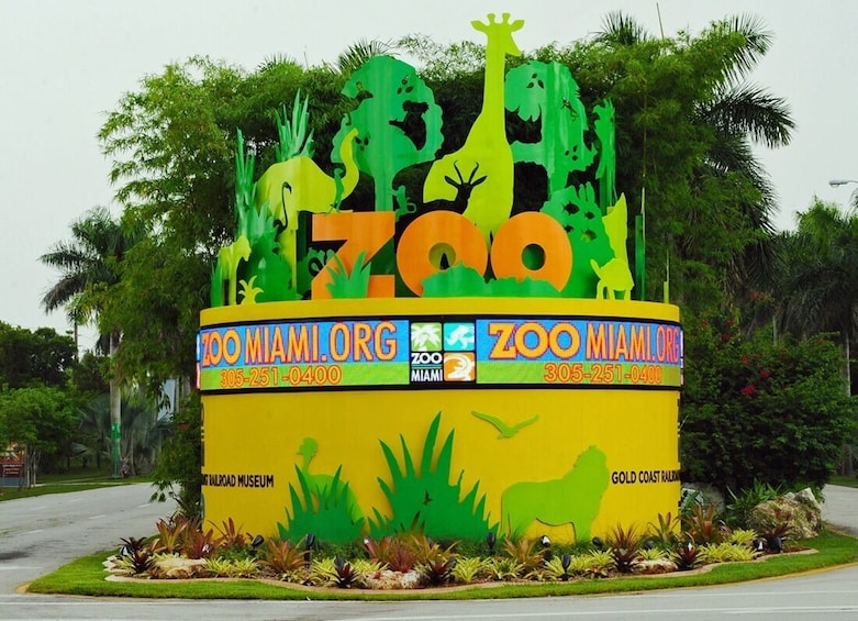 Miami Zoo with Transportation