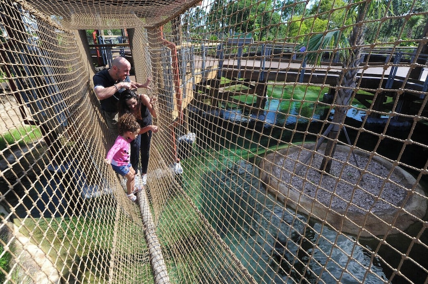 Miami Zoo with Transportation