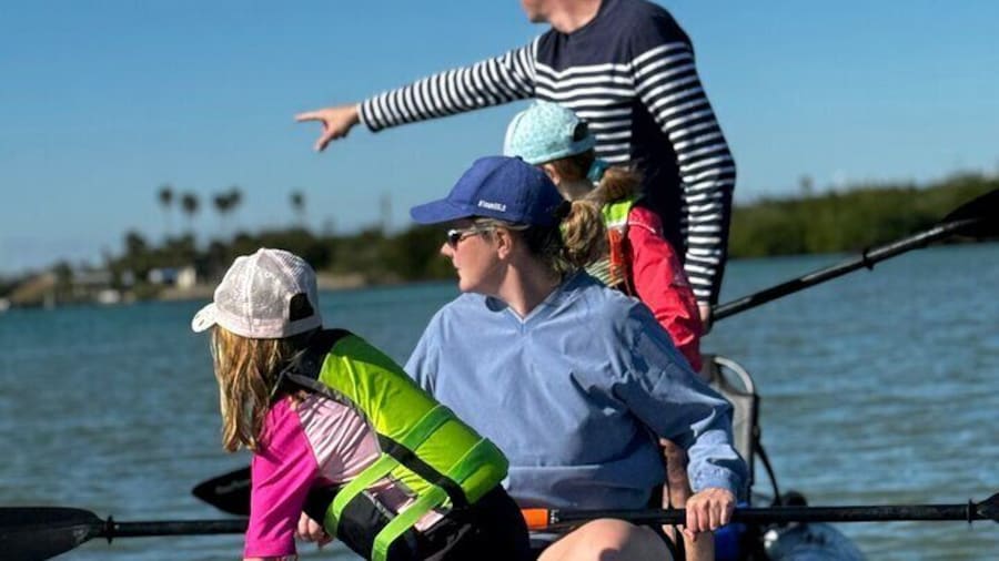 Dolphin watching after the lunch break.
