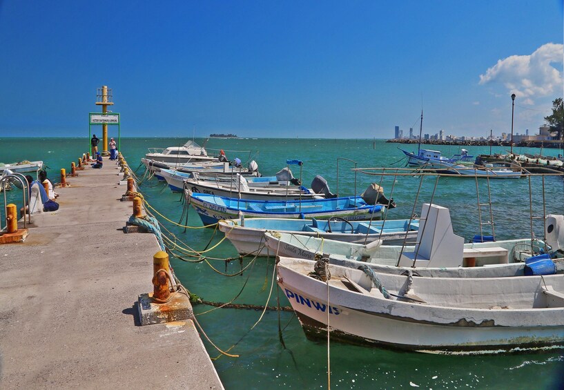 Veracruz Hop-on Hop-off City Tour plus Aquarium