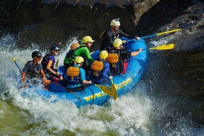 Autumn Upper Gauley Full Day Whitewater Rafting