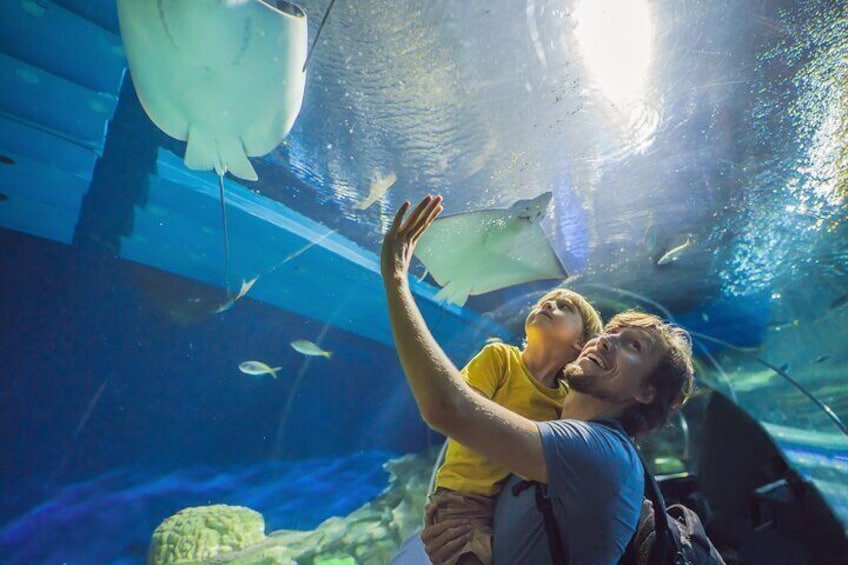 Oman Aquarium - Admission Ticket
