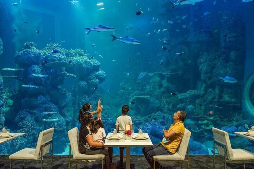 Oman Aquarium - Admission Ticket