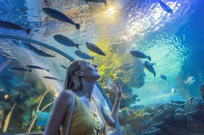 Oman Aquarium - Admission Ticket