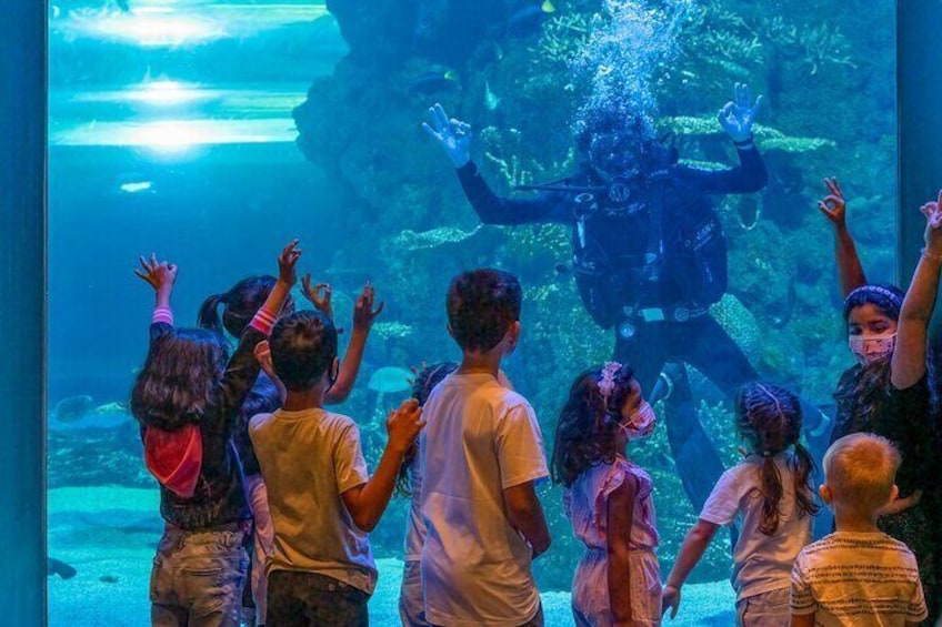 Oman Aquarium - Admission Ticket