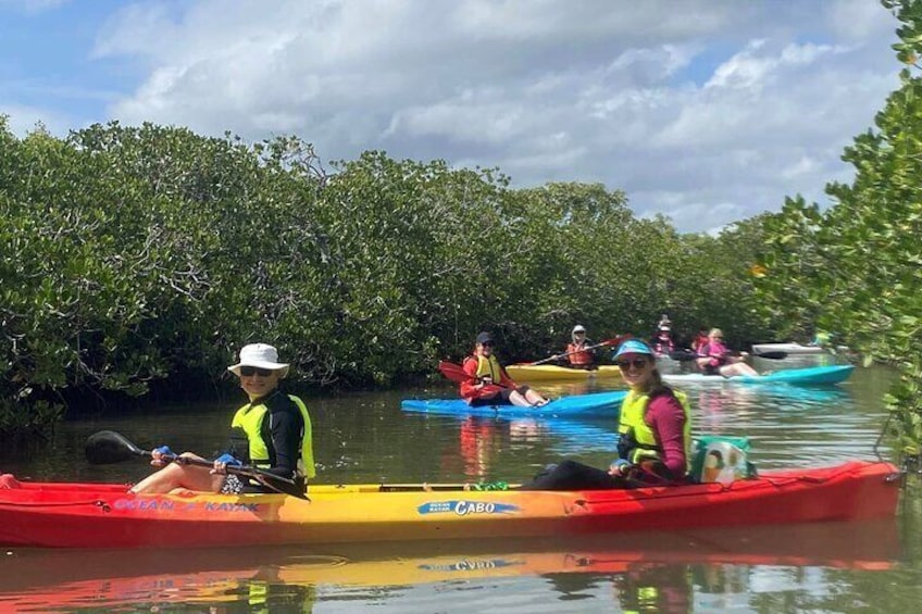 Mangroves and Mansions Guided Kayak Tour