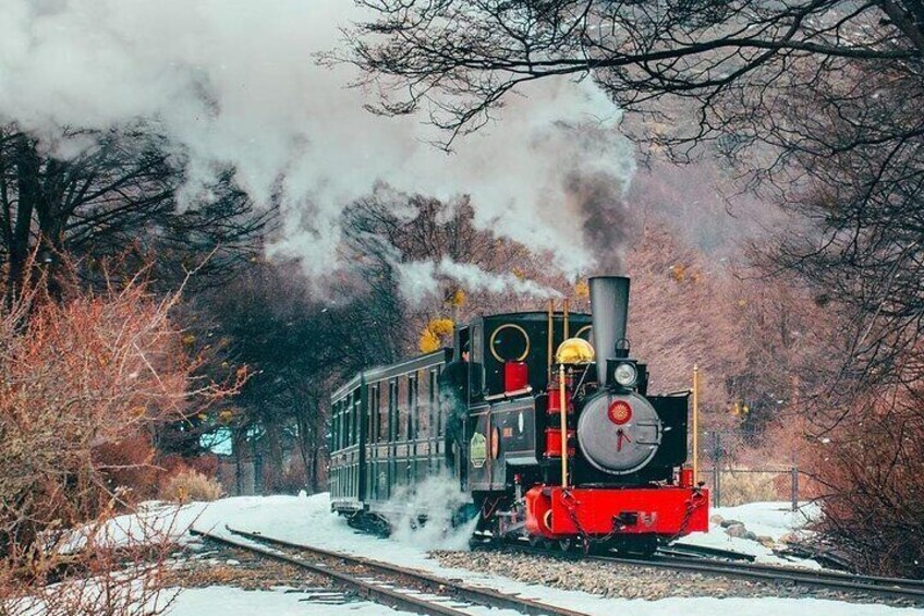 Tierra del Fuego National Park & End of the World Train Tour