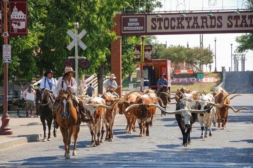 Fort Worth Stockyards Foodie Tour