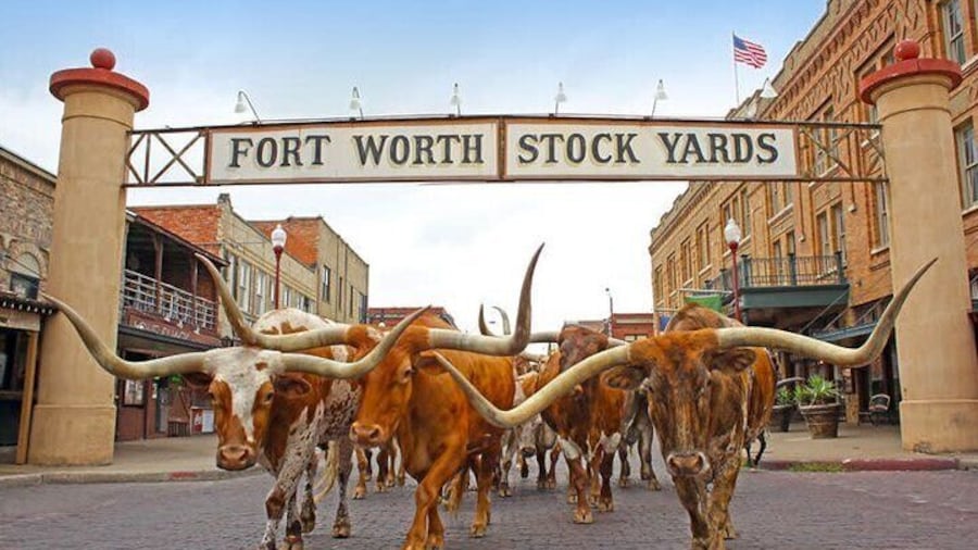 Fort Worth Stockyards Foodie Tour with Food Tours of America