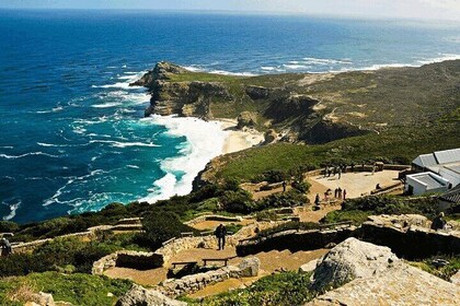 Private Tour of Cape Point and Boulders Beach Penguin Colony
