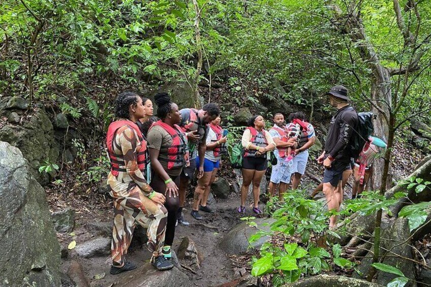 Private Tour To La Leona Waterfall With Lunch Included