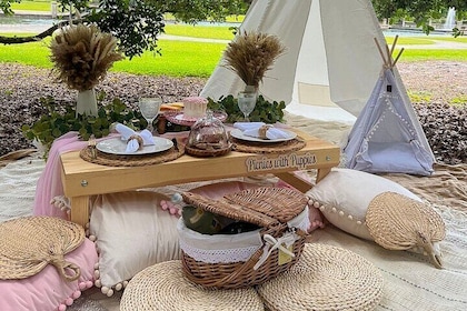Themed luxury picnics in Charleston, South Carolina