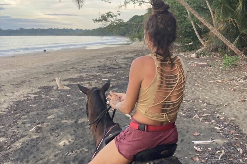 2 Hour Private Beach Horse Back Riding in Puerto Viejo